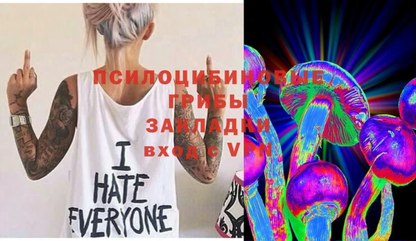 прущая мука Каменка
